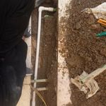 بهمن محمدپور