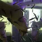 کاشت ناخن فیش اسپا پارافین تراپی