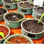 سوغات سرای اطمینان