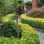 سرویس بهداشتی بوستان ابیانه