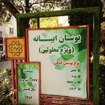 سرویس بهداشتی بوستان ابیانه