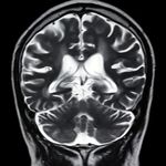 تصویر برداری همساز