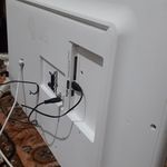 مجتبی عیوض زاده شندی