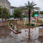بیمه ایران شعبه بندرعباس