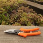 بیلچه طلا فروش کود خاک و لوازم گلخانه