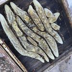 عسل دارویی کردستان صددرصد طبیعی در تهران