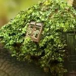 مشاوره پیوند فرهیختگان