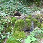 پارک ملی پابند