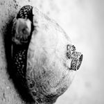 آتلیه عکاسی موندگار