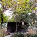 سایت پرنده نگری بوستان شهر
