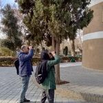 سایت پرنده نگری بوستان شهر