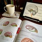 دکتر روانشناس روان درمانگر سمیرا انصاری
