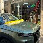 گل نیلوفر آبی
