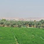 پارک جزیره شوشتر