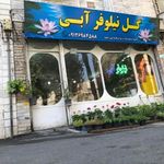 گل نیلوفر آبی