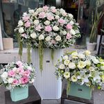 گل فروشی افرا آمل