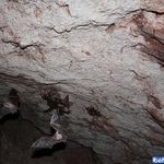 غار چهل ستون