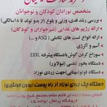 دکتر ندا سادات حکیمیان