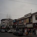 دکتر ثریا عالمی