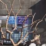 آرایش وپیرایش رخ نقره ای
