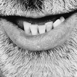 کلینیک دندانپزشکی دکتر وحید سعیدی ساعدی