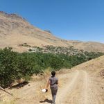 روستای کهندان