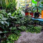 گل‌فروشی بوتانیک