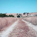 آبشار وه ریز