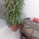 فود کیلویی گوهردشت