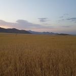 سرای محله شهرستانک