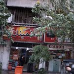 کاکتوس طلایی