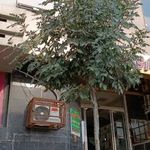مجتمع تجاری نیکان