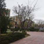بوستان شهید قدیری