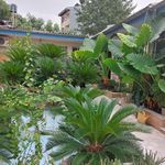 مهمان پذیر بهشت گیلان