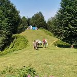 اقامتگاه|تورگردشکری|غذا سنتی سرچشمه حیات