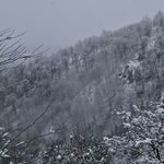 اقامتگاه|تورگردشکری|غذا سنتی سرچشمه حیات