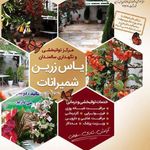 مرکز توانبخشی و درمانی یاس زرین