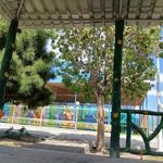 بوستان هاشمی