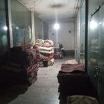 حبیب