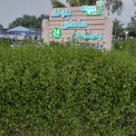 رستوران چاپس گریل