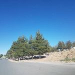 قبرستان سیصد منور