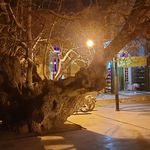قبرستان سیصد منور