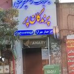 کلینیک تخصصی پرندگان پر (دکتر مهر آرا)