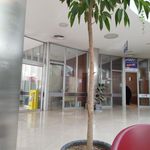 بیمه ایران