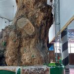 تکیه حسن آباد