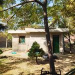 بوستان میلاد