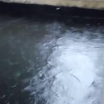 نصب ایزوگام و قیرگونی ۱۰سال ضمانت نامه