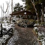 رستوران بهار تاتا