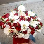گل فروشی آندیا (شعبه یک)