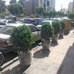 جعفر نودهانی